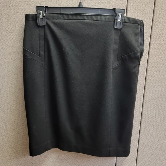 Express Pencil Skirt - Picture 1 of 5